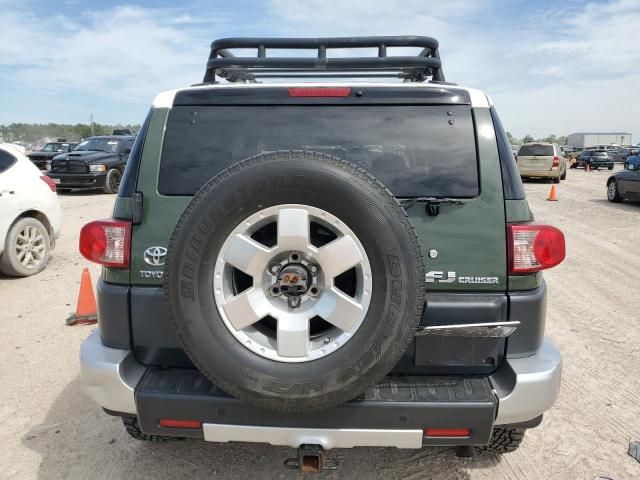 2010 Toyota FJ Cruiser