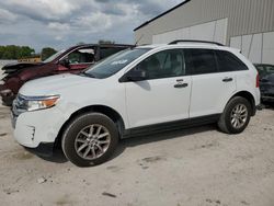 Salvage cars for sale at Apopka, FL auction: 2014 Ford Edge SE