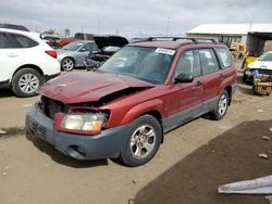 Salvage cars for sale at Brighton, CO auction: 2003 Subaru Forester 2.5X