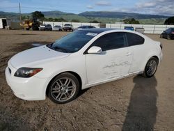 Salvage cars for sale from Copart San Martin, CA: 2010 Scion TC