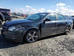 Chevrolet Malibu 2LT salvage cars for sale: 2009 Chevrolet Malibu 2LT