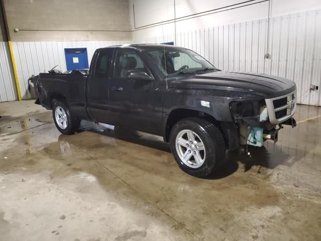 2011 Dodge Dakota SLT