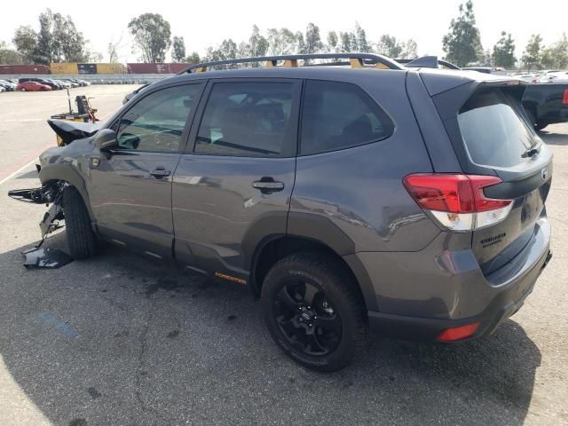 2023 Subaru Forester Wilderness