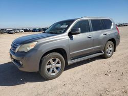 Vehiculos salvage en venta de Copart Andrews, TX: 2010 Lexus GX 460 Premium