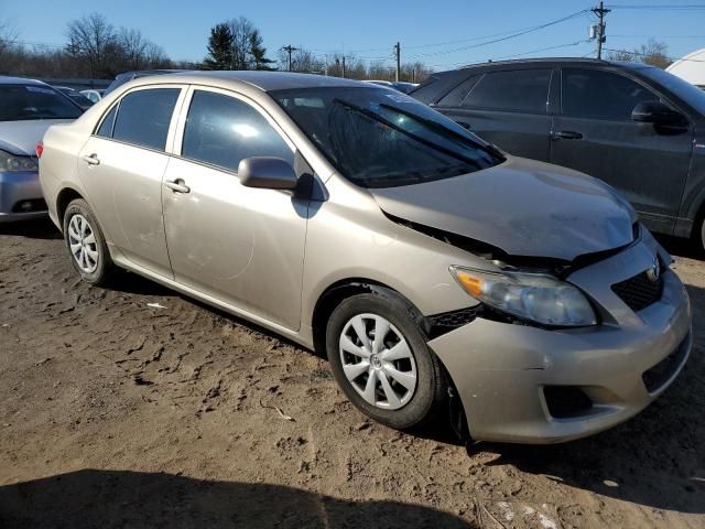 2010 Toyota Corolla Base