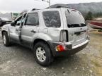 2004 Ford Escape XLT