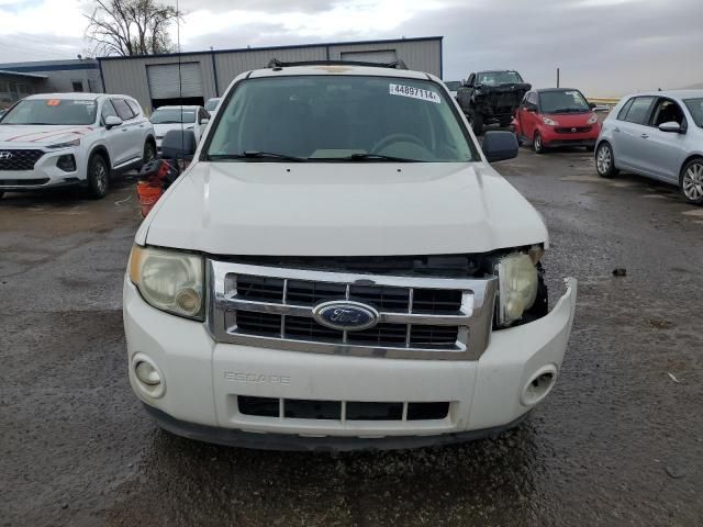 2010 Ford Escape XLT