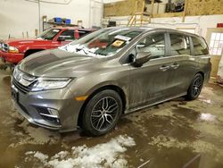 Salvage cars for sale at Ham Lake, MN auction: 2019 Honda Odyssey Touring