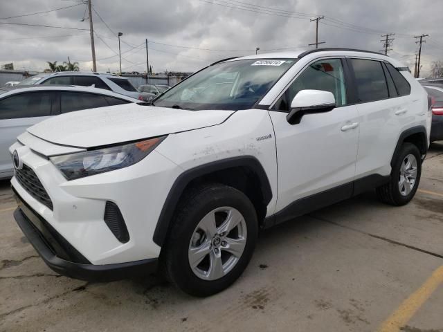 2019 Toyota Rav4 LE