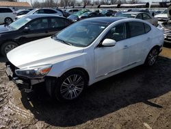 KIA Cadenza salvage cars for sale: 2014 KIA Cadenza Premium