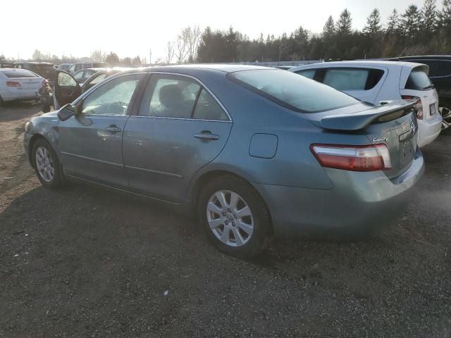 2009 Toyota Camry Hybrid