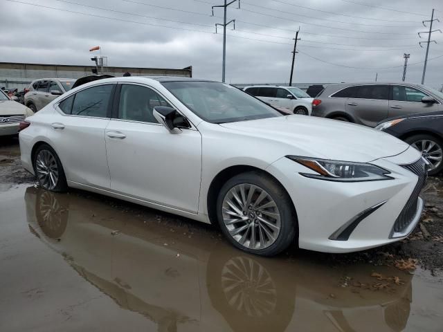 2019 Lexus ES 350