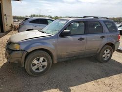 Salvage cars for sale at Tanner, AL auction: 2008 Ford Escape XLT
