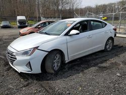 Salvage cars for sale from Copart Finksburg, MD: 2019 Hyundai Elantra SEL