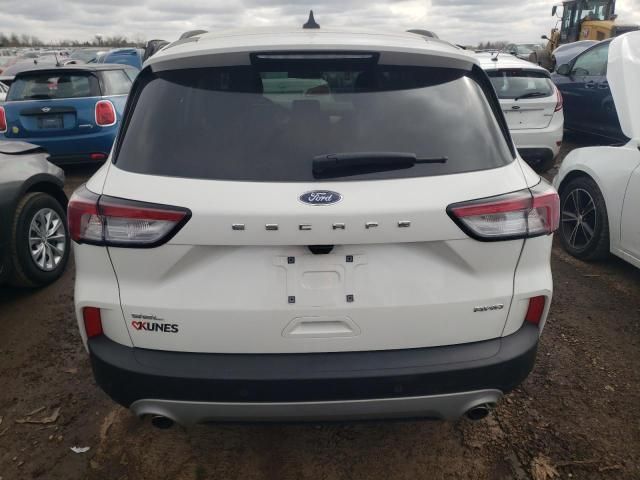 2021 Ford Escape SEL