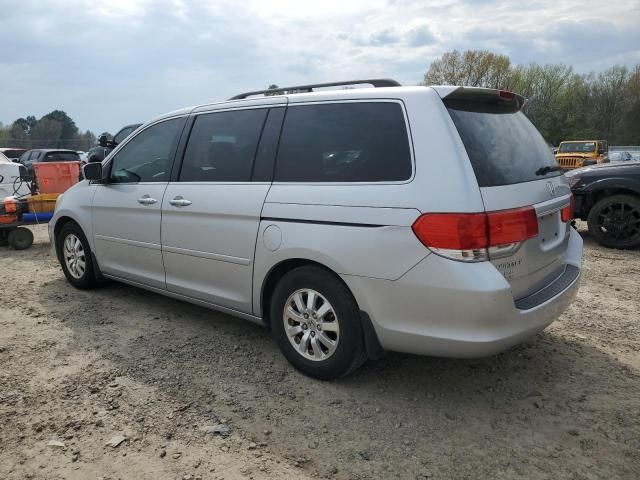 2010 Honda Odyssey EXL