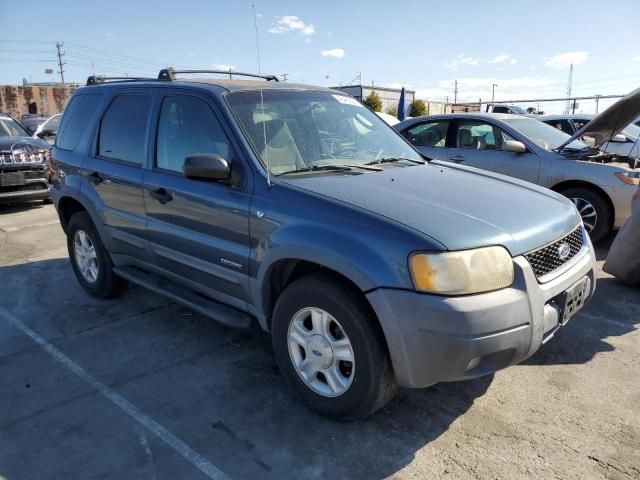 2001 Ford Escape XLT