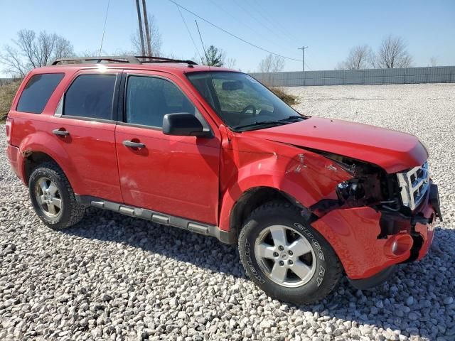 2009 Ford Escape XLT