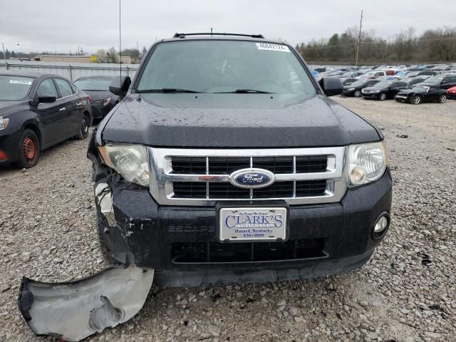 2012 Ford Escape XLT