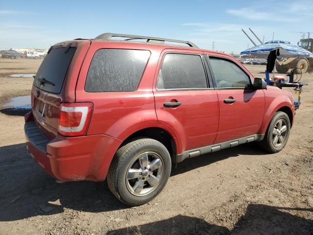 2010 Ford Escape XLT