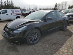 2022 Tesla Model 3 for sale in Bowmanville, ON