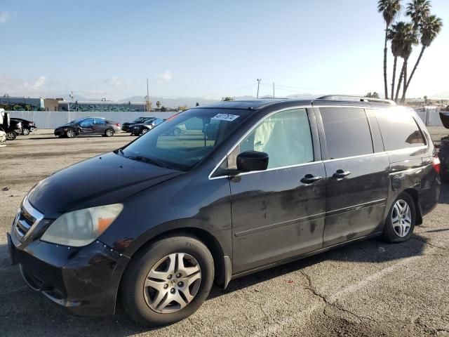 2005 Honda Odyssey EXL