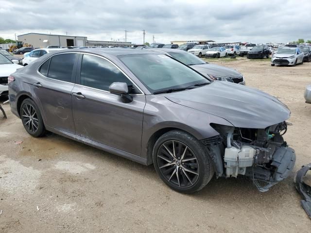 2019 Toyota Camry L