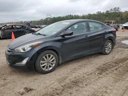 2015 Hyundai Elantra SE for sale in Greenwell Springs, LA