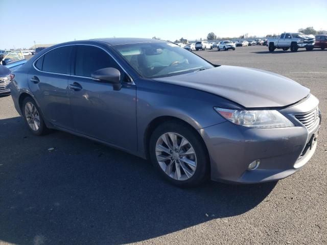 2015 Lexus ES 300H