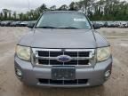 2008 Ford Escape HEV