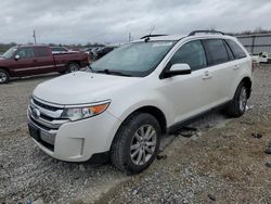 Ford Edge SEL salvage cars for sale: 2014 Ford Edge SEL