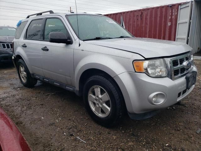 2011 Ford Escape XLT