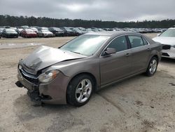 Salvage cars for sale at Harleyville, SC auction: 2010 Chevrolet Malibu 1LT