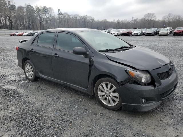 2010 Toyota Corolla Base