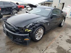 Ford salvage cars for sale: 2014 Ford Mustang