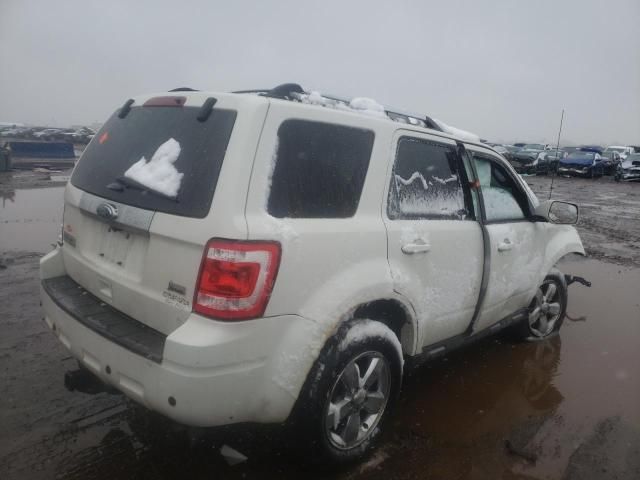 2011 Ford Escape Limited