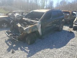 Salvage Cars with No Bids Yet For Sale at auction: 2013 Jeep Grand Cherokee Laredo