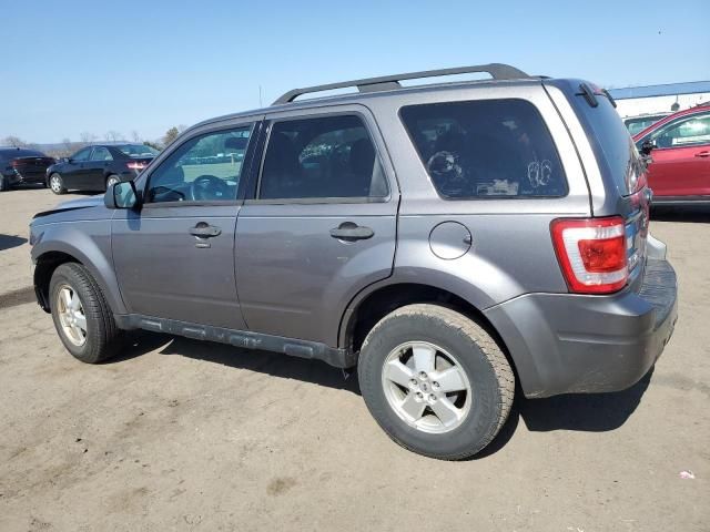 2010 Ford Escape XLT