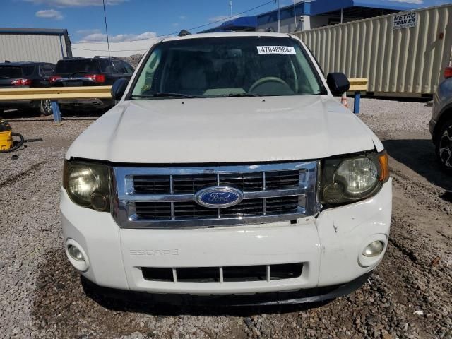 2012 Ford Escape XLT