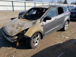 Vehiculos salvage en venta de Copart Lansing, MI: 2013 Ford Escape SE