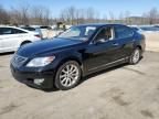 2011 Lexus LS 460