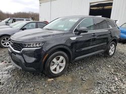 Salvage cars for sale at Windsor, NJ auction: 2023 KIA Sorento LX