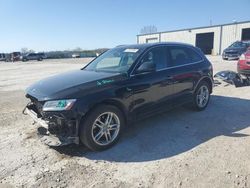 Salvage cars for sale at Kansas City, KS auction: 2017 Audi Q5 Premium Plus S-Line
