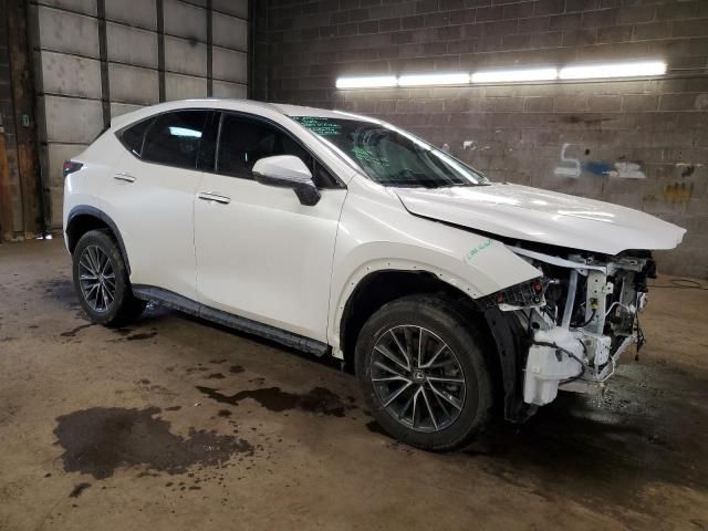 2022 Lexus NX 250