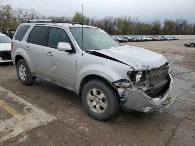 2011 Ford Escape Limited