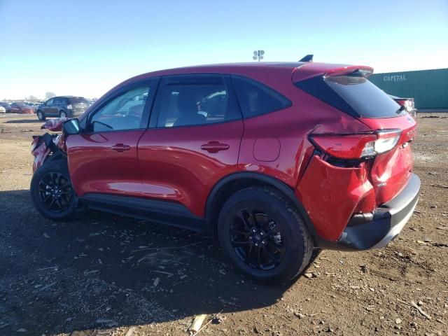 2020 Ford Escape SE Sport