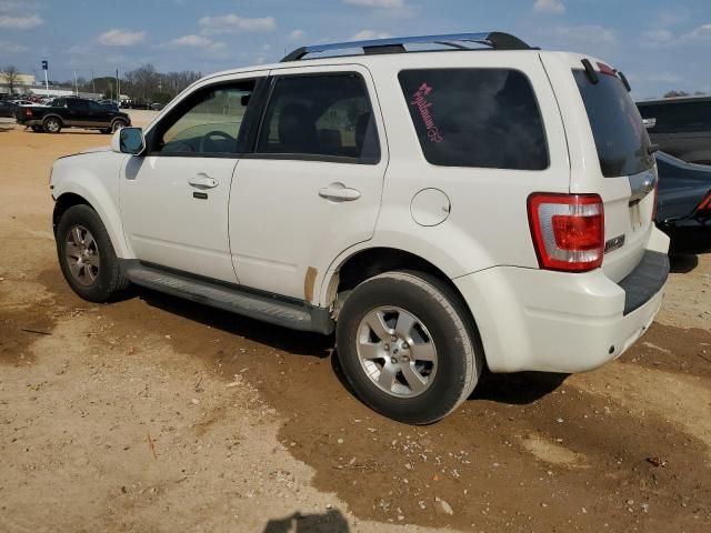 2009 Ford Escape Limited