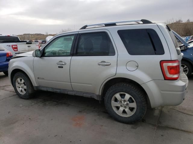 2009 Ford Escape Hybrid