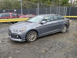 Salvage cars for sale at Waldorf, MD auction: 2019 Hyundai Sonata SE