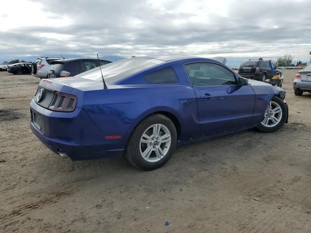 2014 Ford Mustang